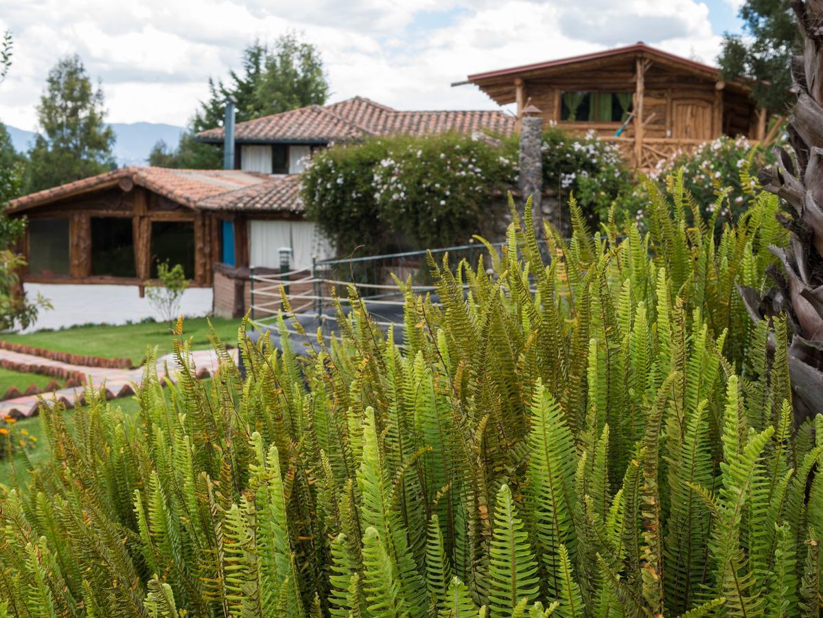Zaysant Ecolodge Puembo Bagian luar foto