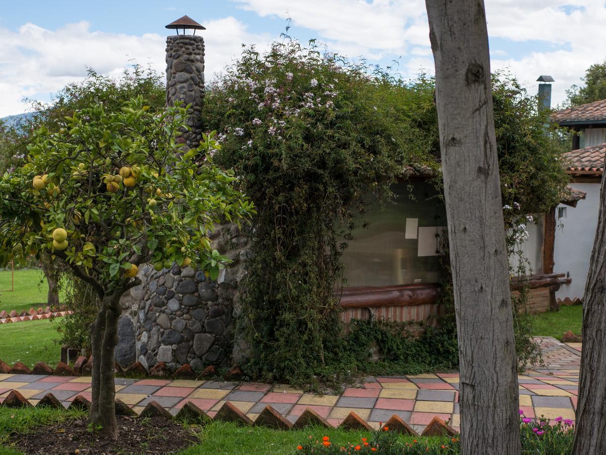 Zaysant Ecolodge Puembo Bagian luar foto